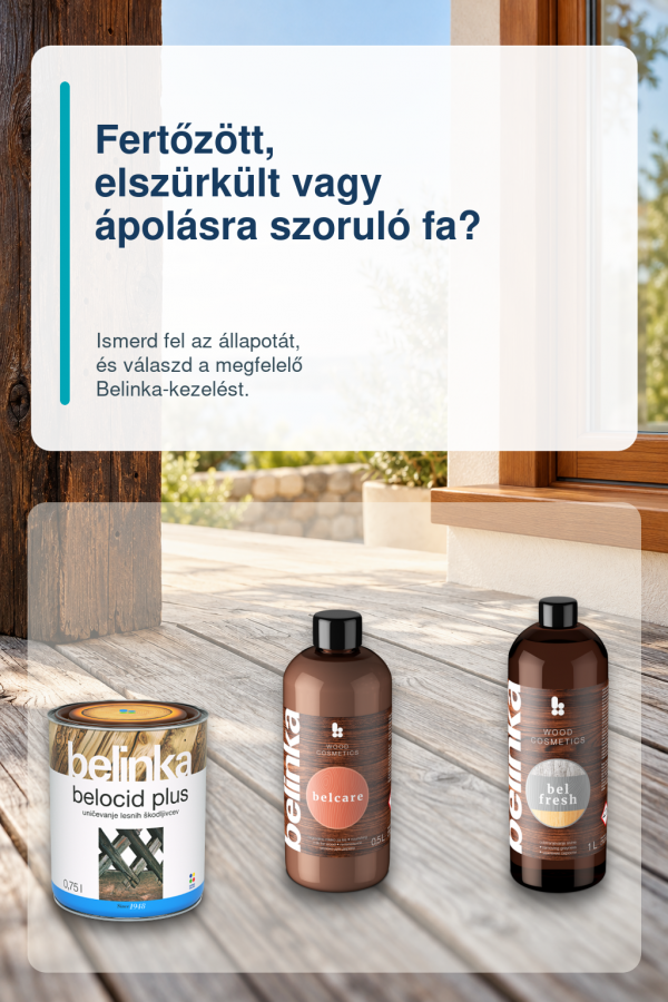Faanyag-helyreállítás Belinka Belocid Plus, Belcare és Belfresh termékekkel